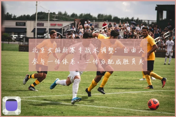 北京女排新赛季战术调整：自由人参与一传体系，二传分配成胜负关键
