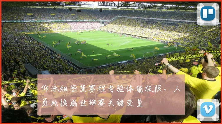 仰泳组密集赛程考验体能极限，人员轮换成世锦赛关键变量