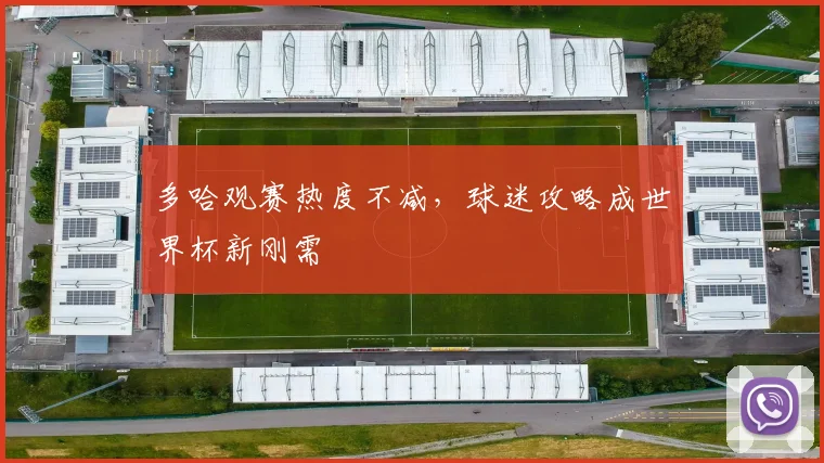 多哈观赛热度不减，球迷攻略成世界杯新刚需