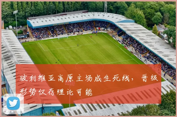 玻利维亚高原主场成生死线，晋级形势仅存理论可能
